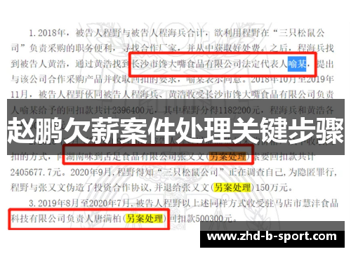 赵鹏欠薪案件处理关键步骤