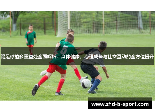 踢足球的多重益处全面解析：身体健康、心理成长与社交互动的全方位提升