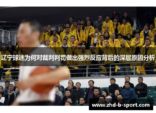 辽宁球迷为何对裁判判罚做出强烈反应背后的深层原因分析